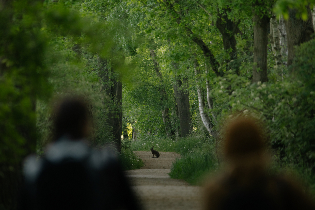 Das Münsterland lädt zum Wandern ein (Foto: Münsterland e.V., Florian Wenzel).